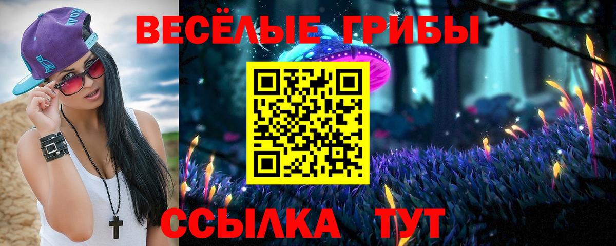 Сафоново  Псилоцибиновые грибы GOLDEN TEACHER  Вход с VPN 